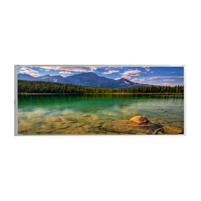 Buen precio AA192ED01 19,2 el panel de la pantalla de la pulgada 1920×360 lcd para la barra LCD Stretched en línea