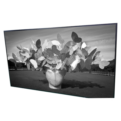 Buen precio 42,0 el panel de exhibición de la señalización de la pantalla LCD P420HVN01.0 Digitaces de la pulgada 1920*1080 en línea