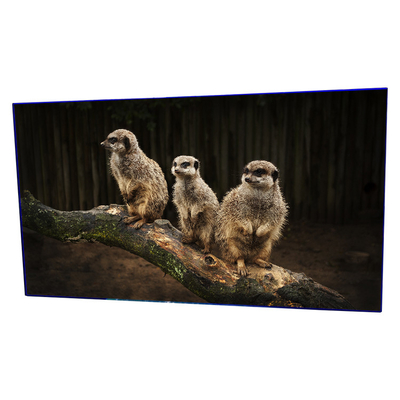 Buen precio LD550DUN-THB5 55 la resolución lcd de la pulgada 1920*1080 llevó el panel de pared video en línea