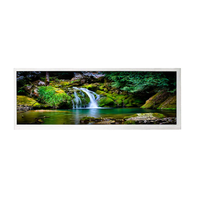 Buen precio Panel de pantalla LCD de 10,3 pulgadas 1920*720 HSD103JPW2-A00 en línea