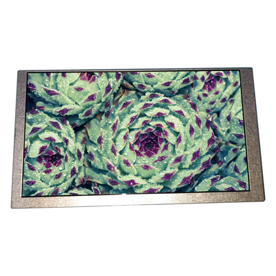 Buen precio 6.2 pulgadas HSD062IDW1-B00-C00 panel LCD 800 * 480 pantalla LCD en línea