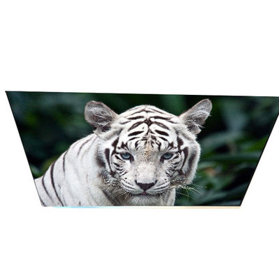 Buen precio Industria G270QAN02.0 Panel LCD TFT de 27 pulgadas y 70 pines en línea