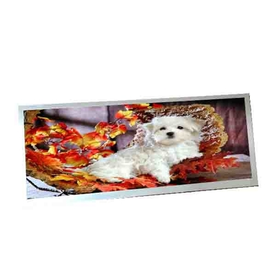 Buen precio Para AUO C123HAN02.5 12.3 pulgadas 40 pines pantalla LCD en línea
