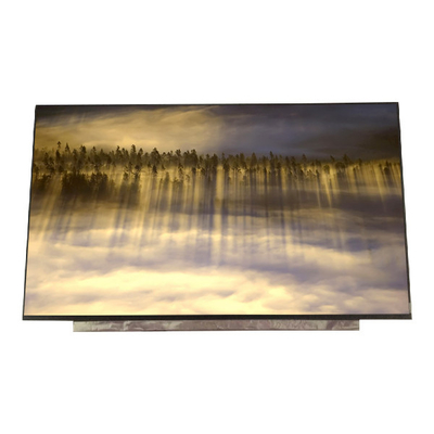 Buen precio B173HAN04.3 tamaño 17.3 pulgadas 127PPI 16.7M Pantalla LCD en línea