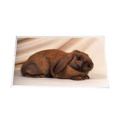 Buen precio B140RW03 V1 14.0 pulgadas 1600 * 900 LCD PANEL de pantalla en línea