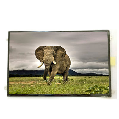 Buen precio B101UAN01.9 10.1 pulgadas 16.7M 52% NTSC Pantalla LCD en línea