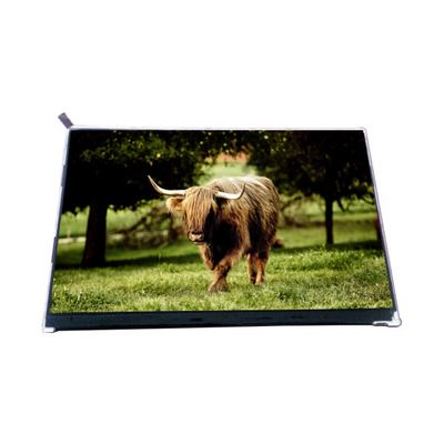 Buen precio VVX10F002A90 10,1 pulgadas 1000: 1 Panel de pantalla LCD en línea