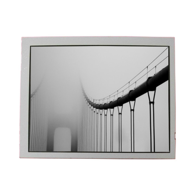 Buen precio LT065AC57400 Pantalla de pantalla LCD Pantalla LCD de 6,5 pulgadas en línea