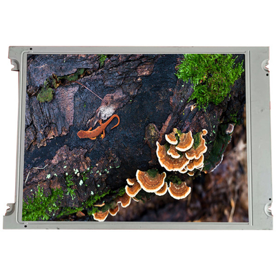 Buen precio LM213XB 5.8 pulgadas 256 * 64 pantalla de pantalla LCD para la industria en línea