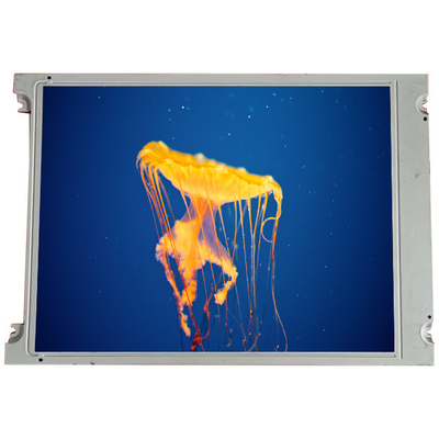 Buen precio SX16H005-ZZA 6.2 pulgadas 640 * 240 panel de pantalla LCD para la industria en línea