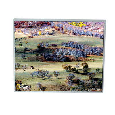 Buen precio LM200WD1-TLA9 20,0 pulgadas 1600 * 900 TFT pantalla LCD en línea