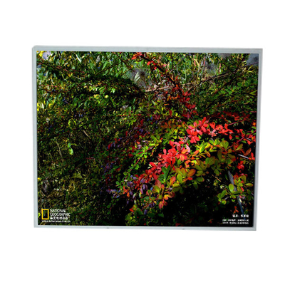 Buen precio LM201U1-A3 Modulos de panel de pantalla LCD de 1600*1200 pulgadas en línea