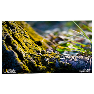 Buen precio LM238WF5-SSG4 23.8 Pantalla táctil LCD en línea