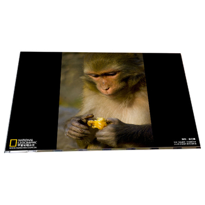 Buen precio LM238WF6-SSA1 1920*1080 panel de módulos de pantalla TFT LCD de 23,8 pulgadas en línea