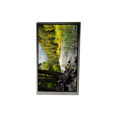 Buen precio BA050WQ2-200 5.0 pulgadas 480 * 272 pantalla LCD para navegación portátil en línea