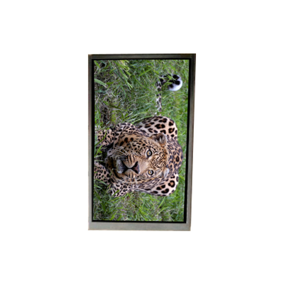 Buen precio BA050WV4-600 5.0 pulgadas 480 * 800 pantalla LCD para teléfono móvil en línea