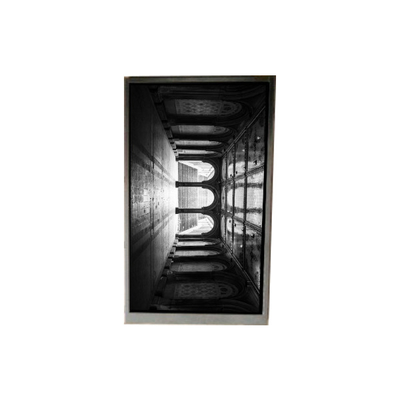 Buen precio BS055FHE-L30-6Q01 5.5 pulgadas pantalla LCD LCD PANEL para teléfono móvil en línea
