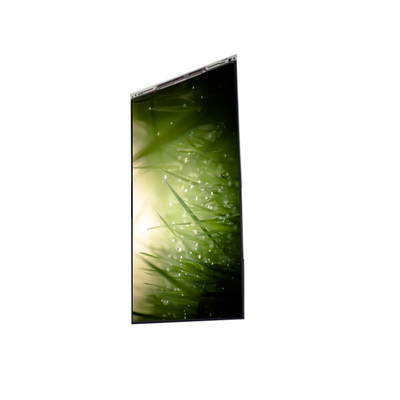 Buen precio BS055FHG-E41-6C00 5.5 pulgadas pantalla LCD LCD PANEL para teléfono móvil en línea