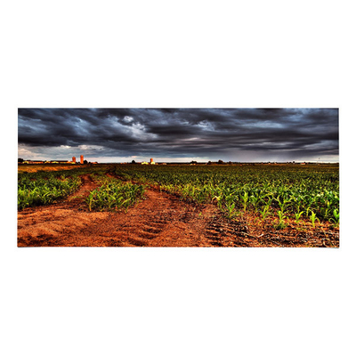 Buen precio LM340UW6-SSA3 Panel LCD de 34,0 pulgadas 3440*1440 Pantalla LCD en línea