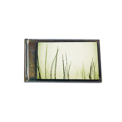 Buen precio NT1cultura de las mujeres en línea