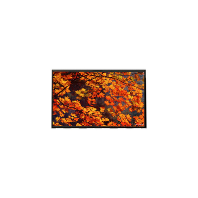 Buen precio Panel de visualización LCD LP133WX1-TLB2 de 13,3 pulgadas 1280*800 módulo de pantalla LCD en línea