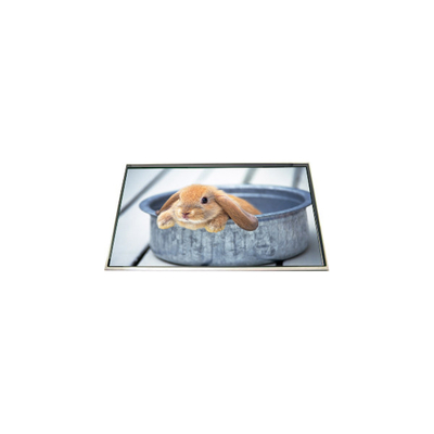 Buen precio LP173WD1-TLH5 17,3 pulgadas de pantalla de panel LCD de 60Hz para computadora portátil en línea