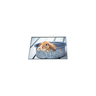 Buen precio LB065WQ4-TD01 400*240 Panel de pantalla LCD TFT de 6,5 pulgadas en línea