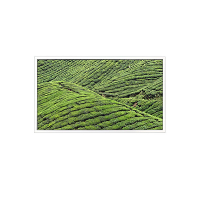 Buen precio DV320WHD-NT0 32,0 pulgadas 1366*768 Pantalla LCD para pantalla transparente en línea