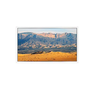 Buen precio Pantalla LCD de 49 pulgadas 3840*2160 DV490QUB-N8A para señalización digital en línea