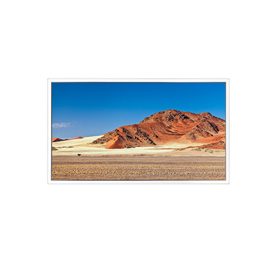 Buen precio DV490QUB-P20 49 pulgadas 3840*2160 Pantalla LCD para BOE en línea