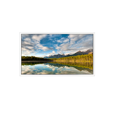 Buen precio Pantalla LCD de 55 pulgadas DV550FHB-N30 1920*1080 para pantalla transparente en línea