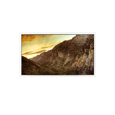 Buen precio 1920*1080 55 pulgadas DV550FHM-NVC 1200:1 Pantalla LCD para pared de vídeo en línea