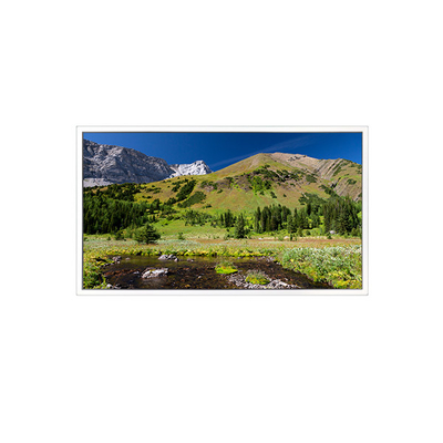 Buen precio DV550QUB-N20 3840*2160 Pantalla LCD de 55 pulgadas para señalización digital en línea