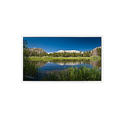 Buen precio 65 pulgadas 3840*2160 DV650QUB-R01 1.07B 72% NTSC Panel de pantalla LCD en línea