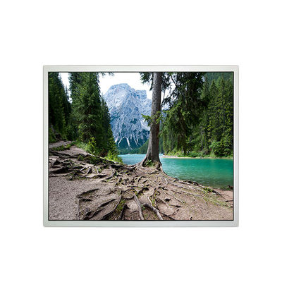 Buen precio 1280*1024 19,0 pulgadas EV190E0M-N10 1000:1 Pantalla LCD para el sector industrial en línea