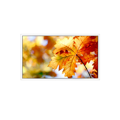 Buen precio EV238FHM-N12 23.8 pulgadas 1920*1080 Pantalla LCD en línea