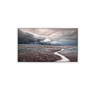 Buen precio 3840*2160 EV550QUM-N50 Pantalla LCD de 55,0 pulgadas para exteriores de alto brillo en línea
