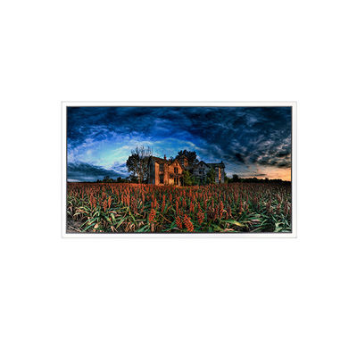 Buen precio 15.6 pulgadas GV156QDB-N80 2560 * 1600 40 pines pantalla LCD en línea