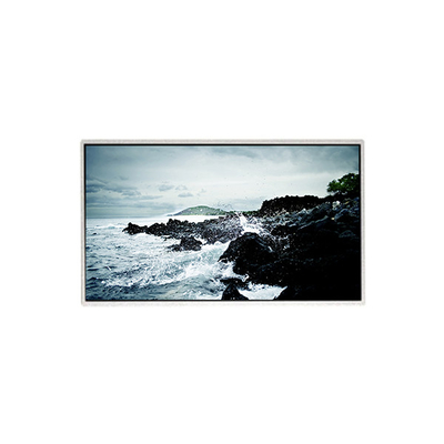 Buen precio 1366*768 HF236WHB-F20 Panel de pantalla LCD de 23,6 pulgadas en línea