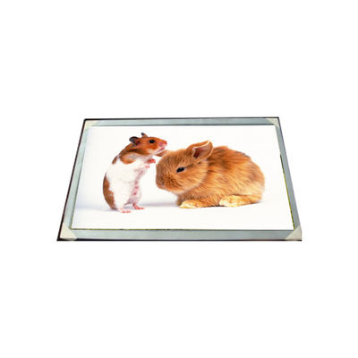 Buen precio LM170E03-TLG6 17.0 pulgadas 16.7M módulo de panel LCD en línea