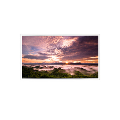 Buen precio 18.5 pulgadas QV185FHM-N80 1920*1080 Panel LCD para el sector industrial en línea