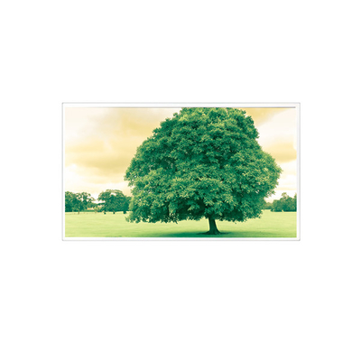 Buen precio 1600*1200 TDA150-005V01 15,0 pulgadas 60Hz 1000:1 Pantalla LCD en línea