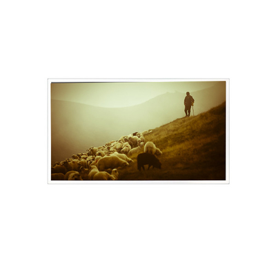 Buen precio QV140FHM-N48 14,0 pulgadas 1920*1080 800:1 60Hz eDP 30 pines Pantalla LCD en línea