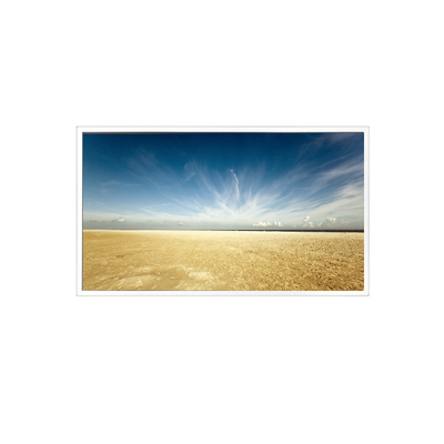 Buen precio 800*1280 10,1 pulgadas TV101WXM-NM0 500 cd/m2 Panel LCD para Pad Tablet en línea