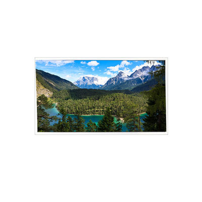 Buen precio 1280*800 QV121WXB-N10 12,1 pulgadas 60Hz 1200: 1 módulo de pantalla de panel LCD en línea