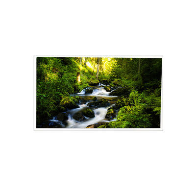 Buen precio RV042Z6G-N00 4,2 pulgadas 480*480 Pantalla LCD para PDA de mano en línea