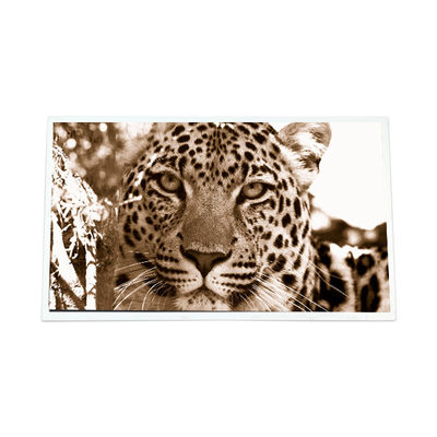 Buen precio 7.0 pulgadas GT070WVM-N12 800*480 WLED 600:1 módulo de panel LCD en línea