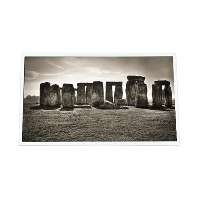 Buen precio 19.5 pulgadas G200HJJ-L01 1920*1080 450 cd/m2 Pantalla LCD para el sector industrial en línea