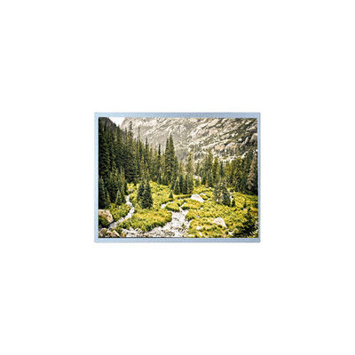 Buen precio 1280*800 10,1 pulgadas G101EAN02.A WLED 1000 cd/m2 Pantalla LCD en línea