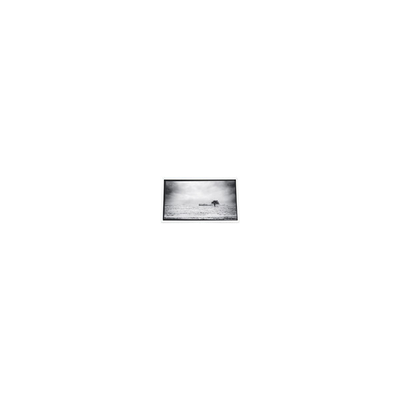 Buen precio Pantalla LCD de 640*480 de 3,5 pulgadas PD035VX1 262K para proyector en línea